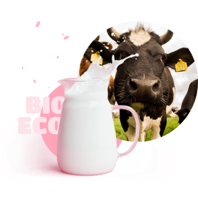 cow and milk pictures